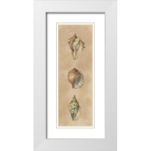 Seashells Panel II White Modern Wood Framed Art Print with Double Matting by Loreth, Lanie