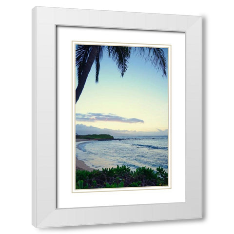 Under the Palm White Modern Wood Framed Art Print with Double Matting by Nawrocke, Bruce