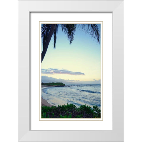 Under the Palm White Modern Wood Framed Art Print with Double Matting by Nawrocke, Bruce