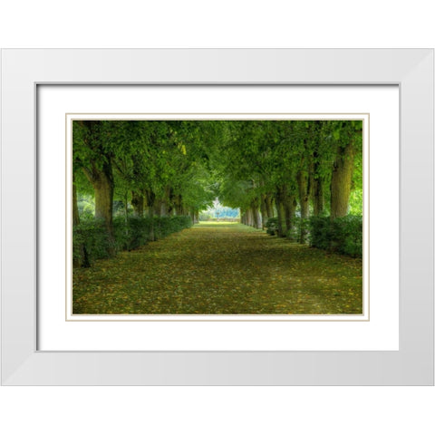 French Gardens White Modern Wood Framed Art Print with Double Matting by Lake, Shelley