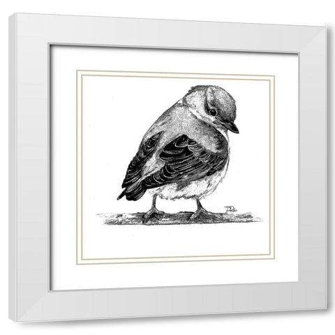 Black And White Baby Bird I White Modern Wood Framed Art Print with Double Matting by Pinto, Patricia