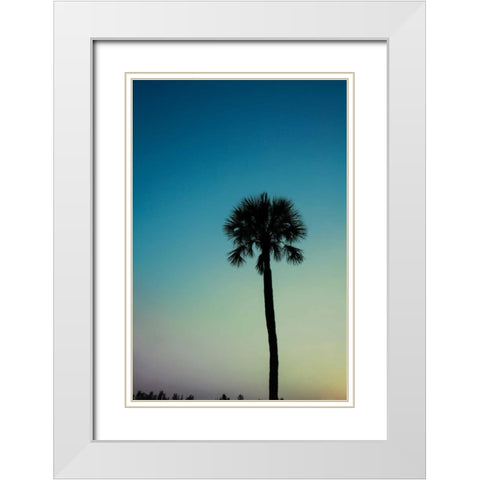 Palm Solo White Modern Wood Framed Art Print with Double Matting by Bryant, Susan
