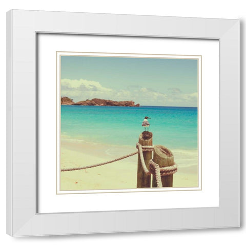Island Vacation II White Modern Wood Framed Art Print with Double Matting by Bryant, Susan