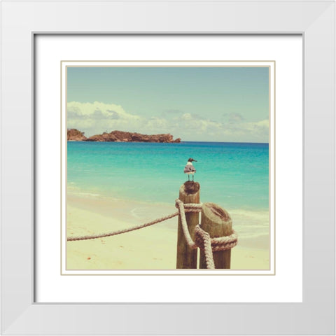 Island Vacation II White Modern Wood Framed Art Print with Double Matting by Bryant, Susan