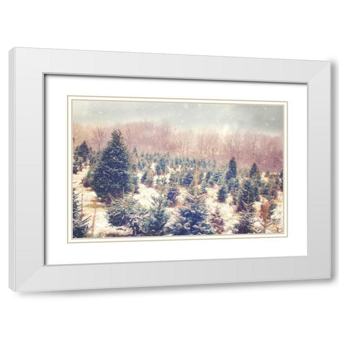 Natures Beauty White Modern Wood Framed Art Print with Double Matting by Poynter, Kelly