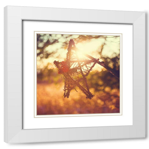Morning Star White Modern Wood Framed Art Print with Double Matting by Poynter, Kelly