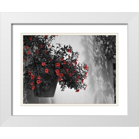 Garden Areas Border I White Modern Wood Framed Art Print with Double Matting by Peck, Gail