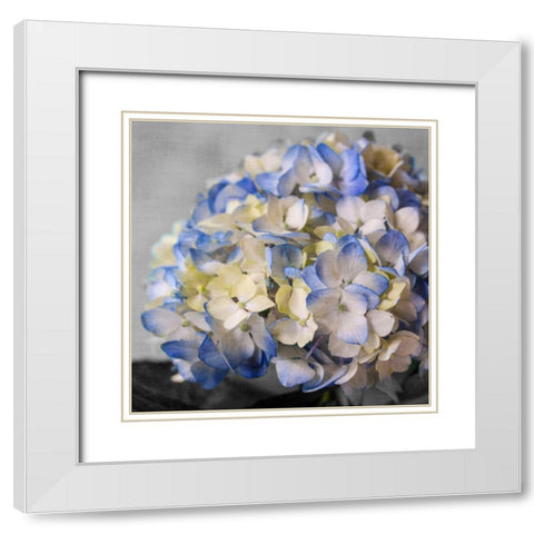 Hydrangeas I White Modern Wood Framed Art Print with Double Matting by Bryant, Susan