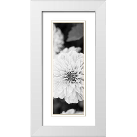 White Bloom II White Modern Wood Framed Art Print with Double Matting by Bryant, Susan