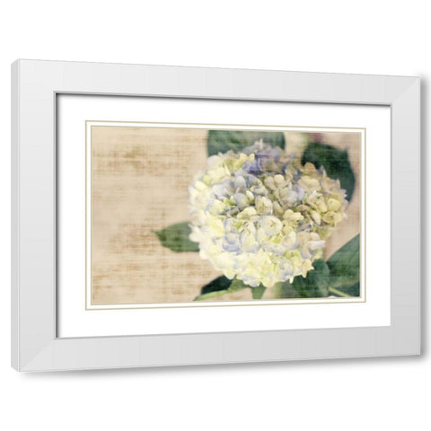 Hydrangeas II White Modern Wood Framed Art Print with Double Matting by Bryant, Susan
