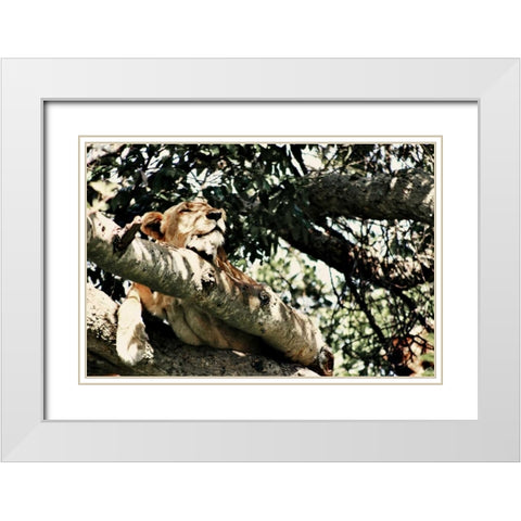Lion Tree White Modern Wood Framed Art Print with Double Matting by Bryant, Susan