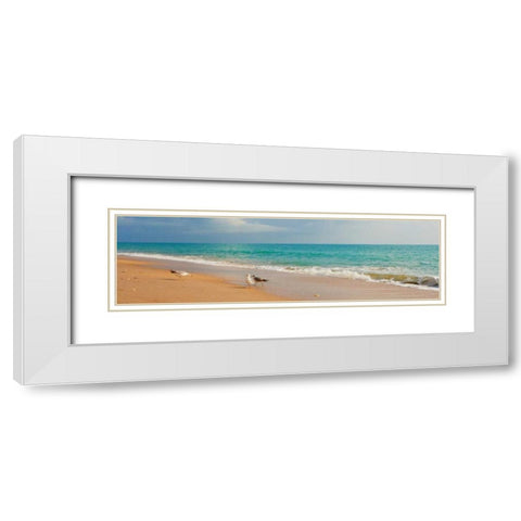 Island Memories I White Modern Wood Framed Art Print with Double Matting by Bryant, Susan