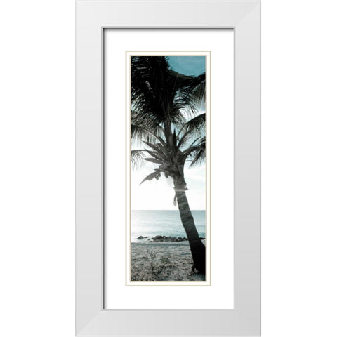Cool Bimini Palm I White Modern Wood Framed Art Print with Double Matting by Bryant, Susan