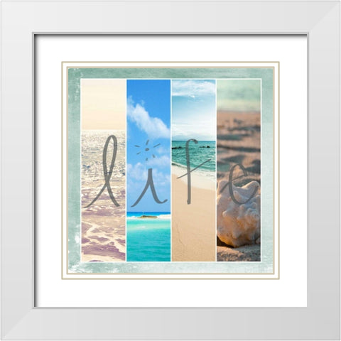 Sea Life White Modern Wood Framed Art Print with Double Matting by Bryant, Susan