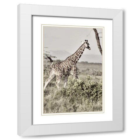 Sepia Giraffe White Modern Wood Framed Art Print with Double Matting by Bryant, Susan