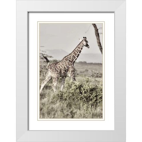 Sepia Giraffe White Modern Wood Framed Art Print with Double Matting by Bryant, Susan