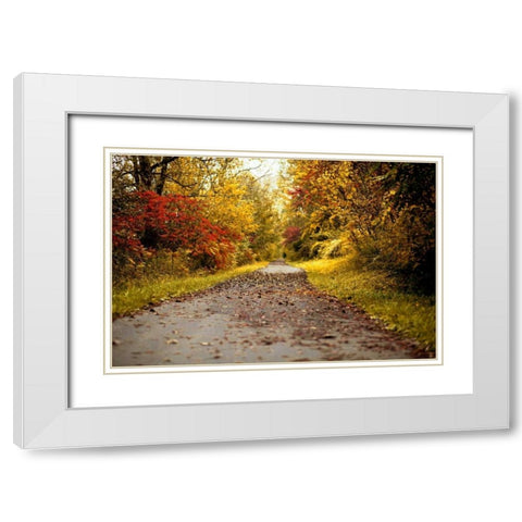 Quiet Autumn Path White Modern Wood Framed Art Print with Double Matting by Poynter, Kelly
