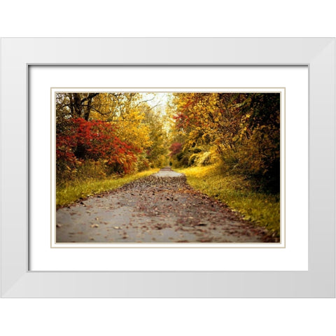 Quiet Autumn Path White Modern Wood Framed Art Print with Double Matting by Poynter, Kelly