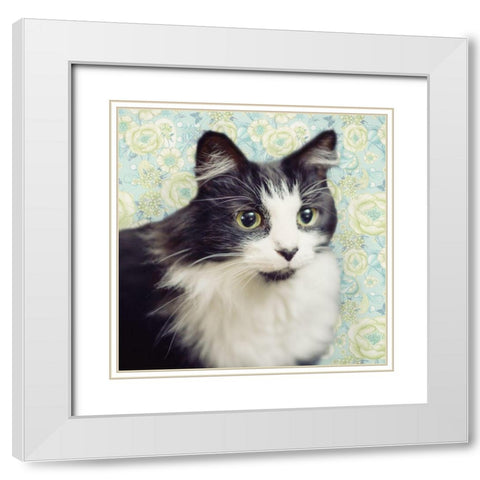 Cat on Paisley White Modern Wood Framed Art Print with Double Matting by Metz, Andi
