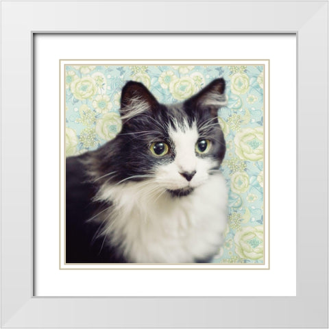Cat on Paisley White Modern Wood Framed Art Print with Double Matting by Metz, Andi