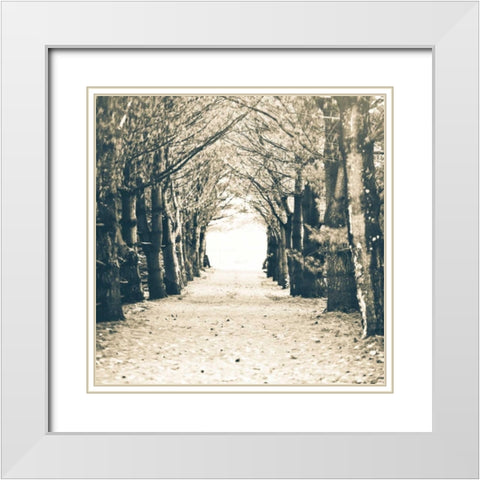 Woods Square White Modern Wood Framed Art Print with Double Matting by Poynter, Kelly