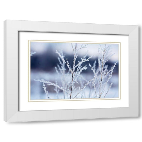 Flakes on Branches White Modern Wood Framed Art Print with Double Matting by Poynter, Kelly