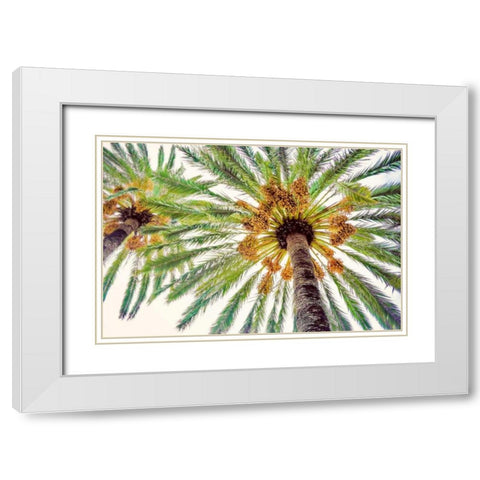 Chic Palms I White Modern Wood Framed Art Print with Double Matting by Acosta