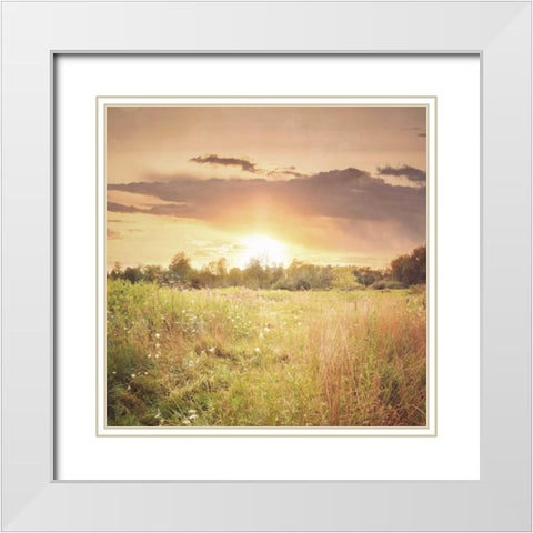 Field of Warmth Square White Modern Wood Framed Art Print with Double Matting by Poynter, Kelly