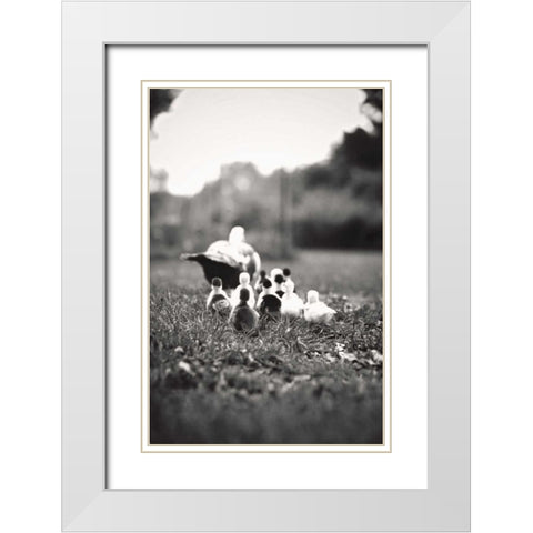 Ducklings White Modern Wood Framed Art Print with Double Matting by Poynter, Kelly