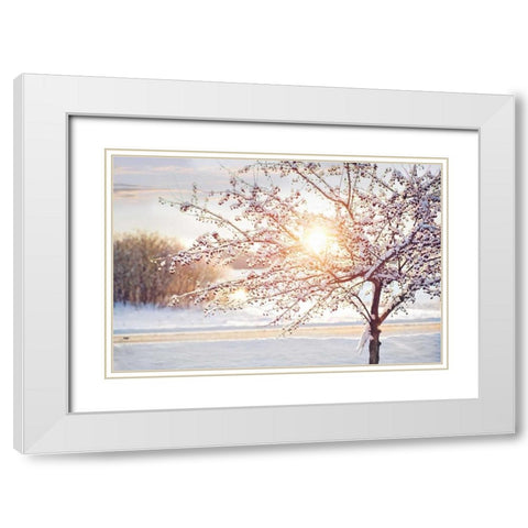 Winter Sunrise White Modern Wood Framed Art Print with Double Matting by Poynter, Kelly