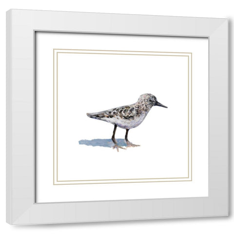 Sandpiper on White I White Modern Wood Framed Art Print with Double Matting by Johnson, Walt