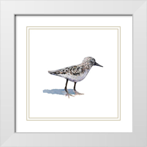 Sandpiper on White I White Modern Wood Framed Art Print with Double Matting by Johnson, Walt