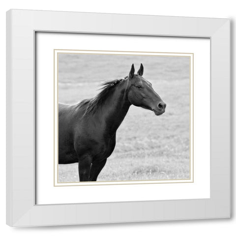 On Sight White Modern Wood Framed Art Print with Double Matting by Walker, Carol