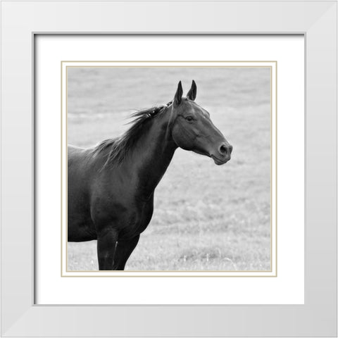 On Sight White Modern Wood Framed Art Print with Double Matting by Walker, Carol