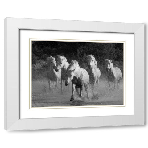 White Running Horses Border White Modern Wood Framed Art Print with Double Matting by Walker, Carol