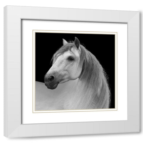 Facing Horse White Modern Wood Framed Art Print with Double Matting by Walker, Carol