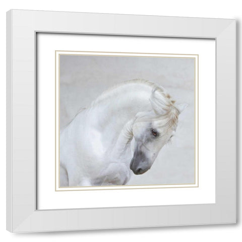 Graceful Pose White Modern Wood Framed Art Print with Double Matting by Walker, Carol