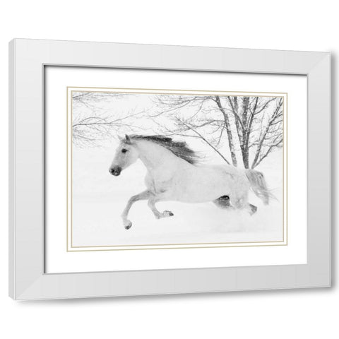 Running in the Snow White Modern Wood Framed Art Print with Double Matting by Walker, Carol