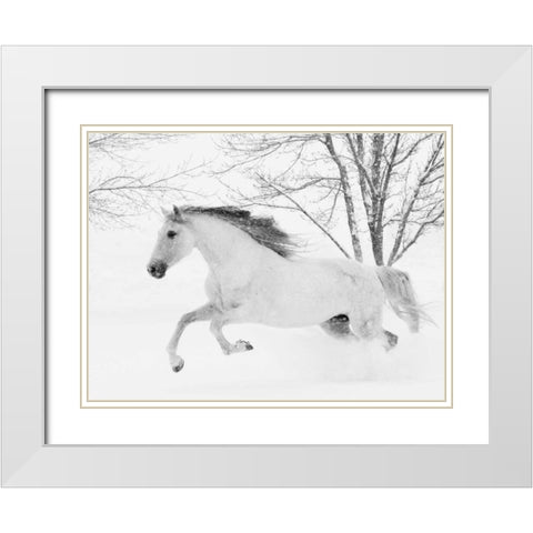 Running in the Snow White Modern Wood Framed Art Print with Double Matting by Walker, Carol