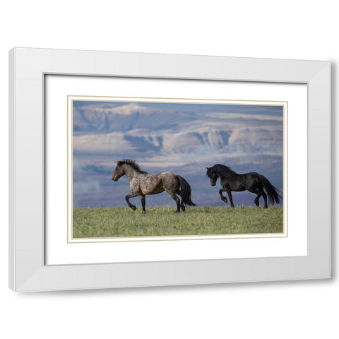 Horses In The Field With Mountains White Modern Wood Framed Art Print with Double Matting by Walker, Carol