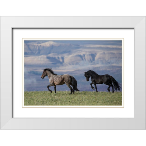 Horses In The Field With Mountains White Modern Wood Framed Art Print with Double Matting by Walker, Carol