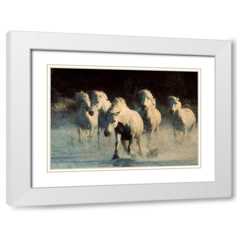 White Running Horses White Modern Wood Framed Art Print with Double Matting by Walker, Carol