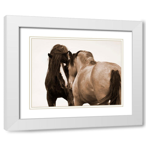Horses Courting White Modern Wood Framed Art Print with Double Matting by Walker, Carol