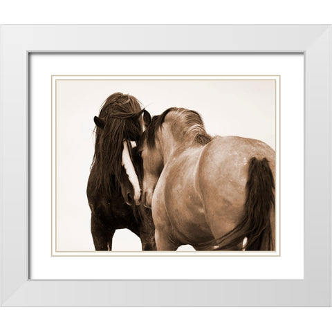 Horses Courting White Modern Wood Framed Art Print with Double Matting by Walker, Carol