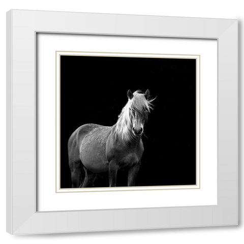 The Mare White Modern Wood Framed Art Print with Double Matting by Walker, Carol