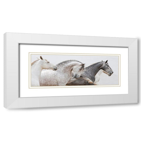 Pointing The Way White Modern Wood Framed Art Print with Double Matting by Walker, Carol