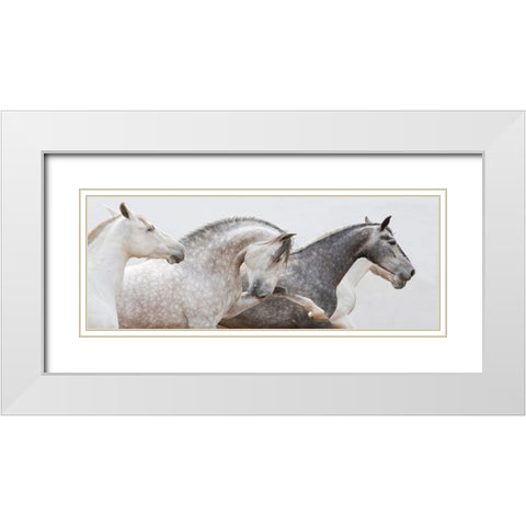 Pointing The Way White Modern Wood Framed Art Print with Double Matting by Walker, Carol