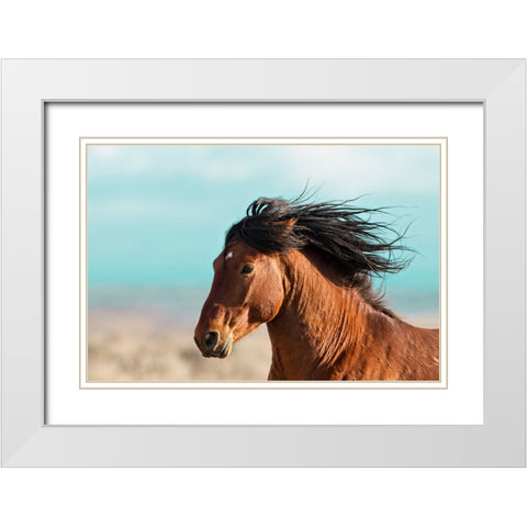 Running Horse White Modern Wood Framed Art Print with Double Matting by Walker, Carol