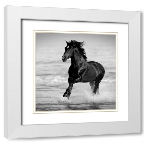 Bay in the Water White Modern Wood Framed Art Print with Double Matting by Walker, Carol