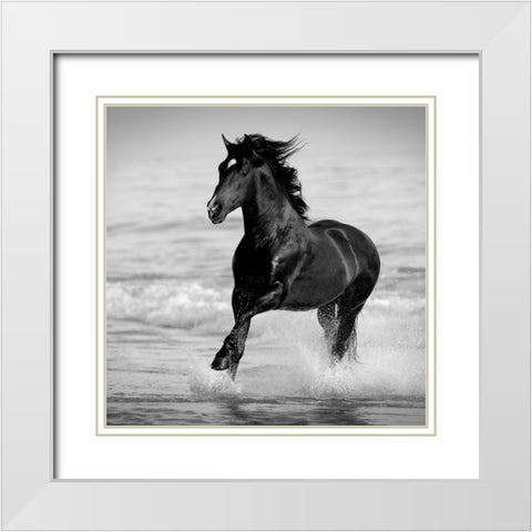 Bay in the Water White Modern Wood Framed Art Print with Double Matting by Walker, Carol